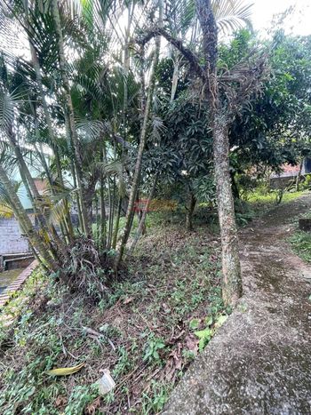 Foto 31 do(a) Casa de 3 quartos à venda em Rio Grande, São Bernardo do Campo