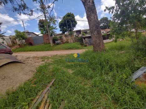 Foto 14 do(a) Terreno false à venda em São Dimas, Colombo
