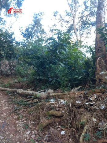 Foto 17 do(a) Terreno false à venda em Recreio São Jorge, Guarulhos