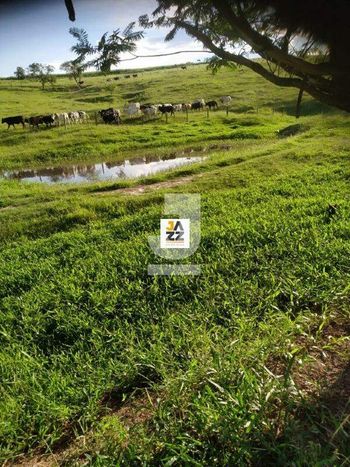 Foto 8 do(a) Fazenda / Sítio / Chácara false à venda em Nhô Quim, Piracicaba