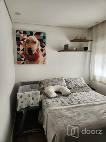 Foto 13 do(a) Apartamento de 2 quartos à venda em Cambuci, São Paulo