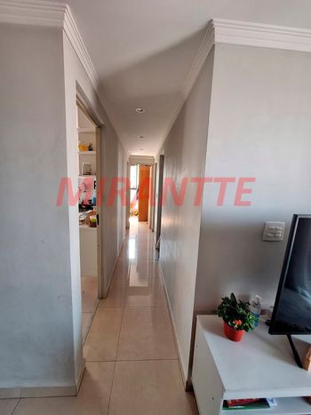 Foto 13 do(a) Apartamento de 3 quartos à venda em Jardim Paraíso, São Paulo