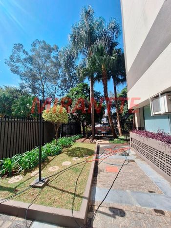 Foto 42 do(a) Apartamento de 3 quartos à venda em Jardim Paraíso, São Paulo