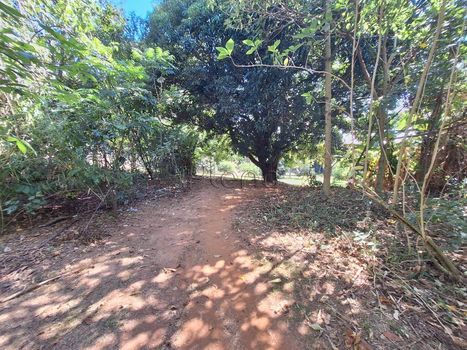 Foto 47 do(a) Casa false para alugar em Jardim Reserva Bom Viver de Indaiatuba, Indaiatuba