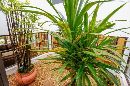 Foto 24 do(a) Casa em Condomínio de 7 quartos à venda em Parque Campolim, Sorocaba