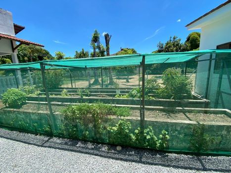 Foto 2 do(a) Casa em Condomínio de 5 quartos à venda em Santa Amélia, Maceió