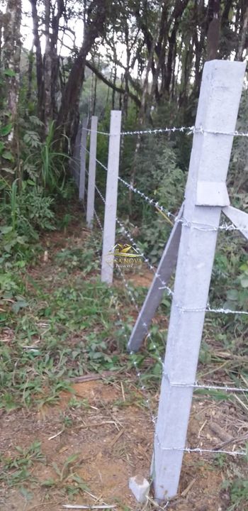 Foto 4 do(a) Fazenda / Sítio / Chácara de 1 quartos à venda em Área Rural de Campo Largo, Campo Largo