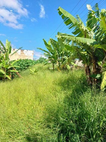 Foto 4 do(a) Terreno false à venda em Vila Jundiaí, Mogi das Cruzes