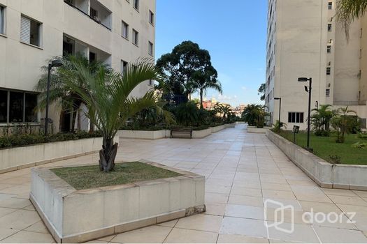 Foto 39 do(a) Apartamento de 3 quartos à venda em Vila Amélia, São Paulo