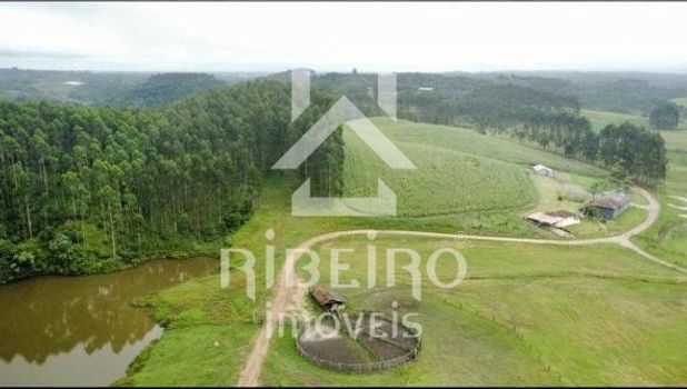 Foto 19 do(a) Fazenda / Sítio / Chácara de 7 quartos à venda em Área Rural de São José dos Pinhais, São José dos Pinhais