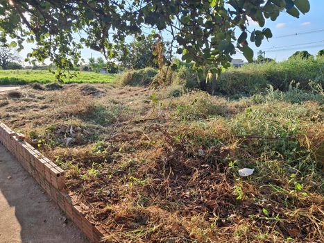 Foto 5 do(a) Terreno false à venda em Residencial São Thomaz, São José do Rio Preto