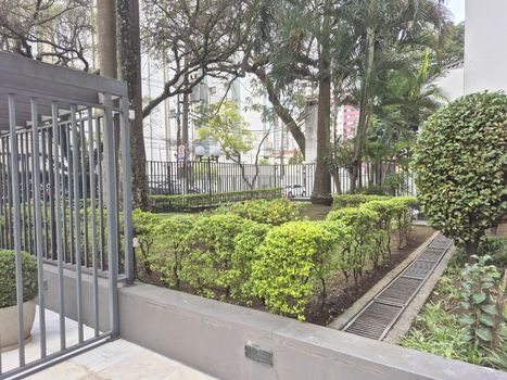 Foto 37 do(a) Apartamento de 3 quartos à venda em Vila Mariana, São Paulo