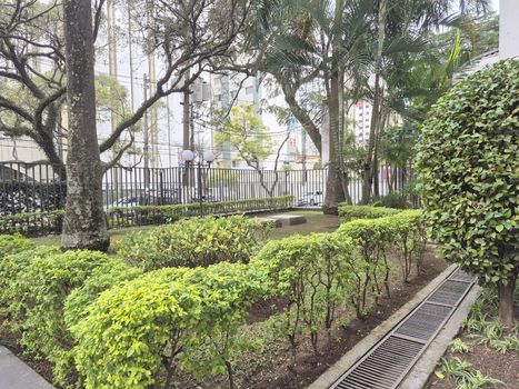 Foto 38 do(a) Apartamento de 3 quartos à venda em Vila Mariana, São Paulo