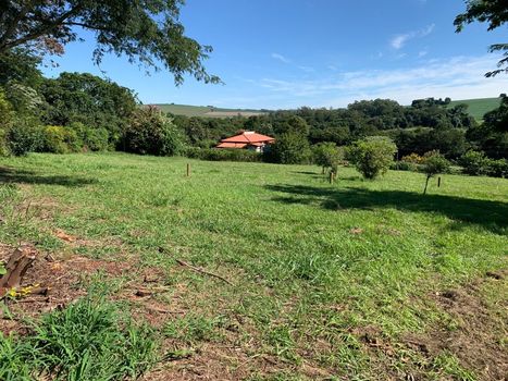 Foto 6 do(a) Terreno false à venda em Estância Cabral, Cambé