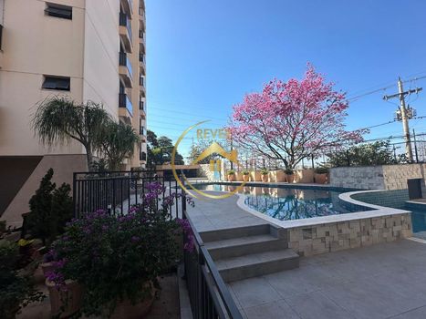Foto 43 do(a) Apartamento de 3 quartos para alugar em Jardim das Paineiras, Campinas