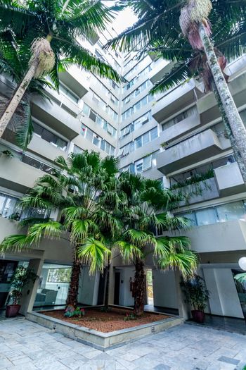 Foto 32 do(a) Apartamento de 3 quartos à venda em Jardim Ampliação, São Paulo