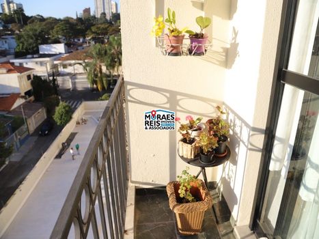 Foto 50 do(a) Apartamento de 3 quartos à venda em Jardim Santo Amaro, São Paulo