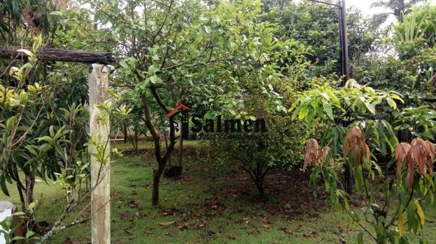 Foto 9 do(a) Fazenda / Sítio / Chácara de 3 quartos à venda em null, Salto de Pirapora