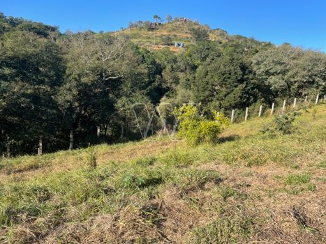 Foto 32 do(a) Fazenda / Sítio / Chácara de 3 quartos para alugar em Sousas, Campinas