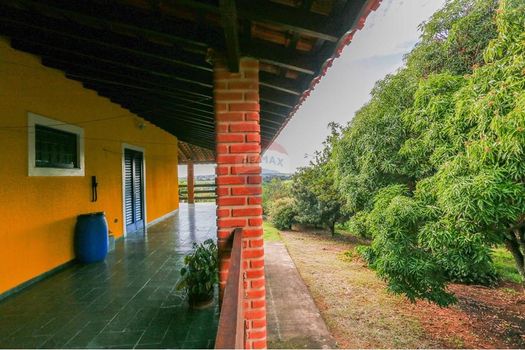 Foto 25 do(a) Fazenda / Sítio / Chácara de 3 quartos à venda em null, Araçoiaba da Serra