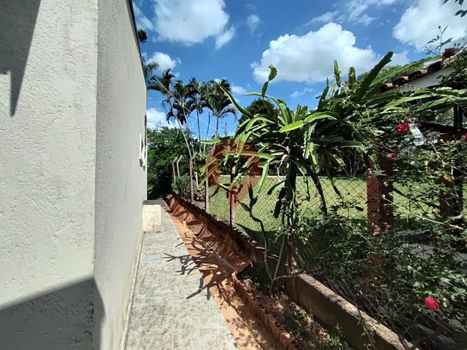 Foto 29 do(a) Fazenda / Sítio / Chácara de 3 quartos à venda em Chácaras São Bento, Valinhos