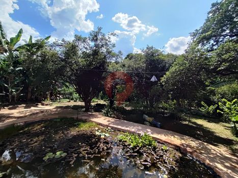 Foto 43 do(a) Fazenda / Sítio / Chácara de 3 quartos à venda em Chácaras São Bento, Valinhos