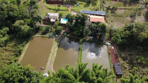 Foto 3 do(a) Fazenda / Sítio / Chácara de 3 quartos à venda em Recanto Rancho Ringo, Cambé