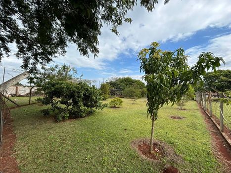 Foto 36 do(a) Fazenda / Sítio / Chácara de 5 quartos à venda em Recanto dos Pinheiros, Cambé