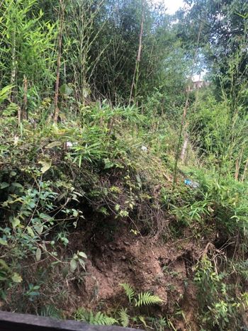 Foto 8 do(a) Terreno de 1 quartos à venda em Pirucaia, Mairiporã