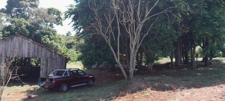 Foto 8 do(a) Fazenda / Sítio / Chácara false à venda em null, Maripá