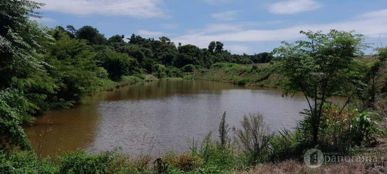 Foto 1 do(a) Fazenda / Sítio / Chácara false à venda em null, Maripá