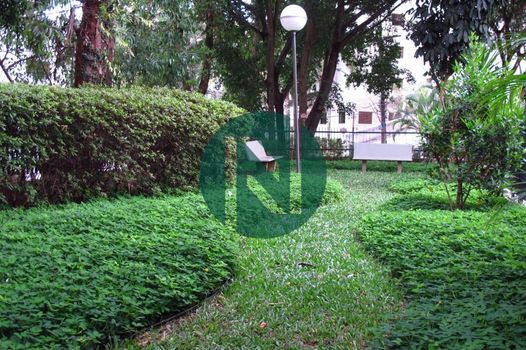 Foto 35 do(a) Apartamento de 3 quartos à venda em Jardim Ampliação, São Paulo