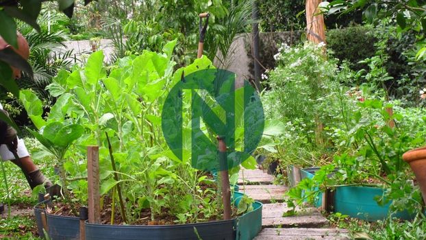 Foto 45 do(a) Apartamento de 3 quartos à venda em Jardim Ampliação, São Paulo