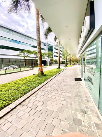 Foto 17 do(a) Sala / Conjunto Comercial false à venda em Saco Grande, Florianópolis