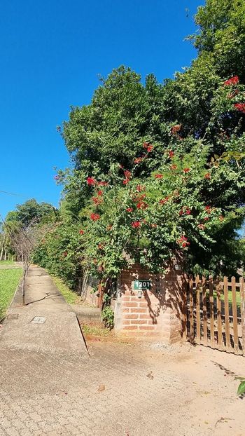 Foto 29 do(a) Fazenda / Sítio / Chácara de 3 quartos à venda em Country, Santa Cruz do Sul