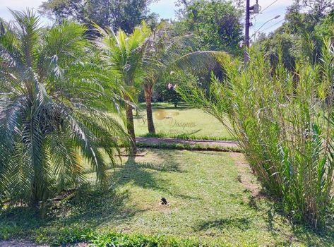 Foto 2 do(a) Fazenda / Sítio / Chácara de 3 quartos à venda em Parque Nossa Senhora da Ajuda, Guapimirim