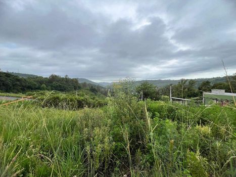 Foto 3 do(a) Terreno false à venda em Fátima, Bento Gonçalves