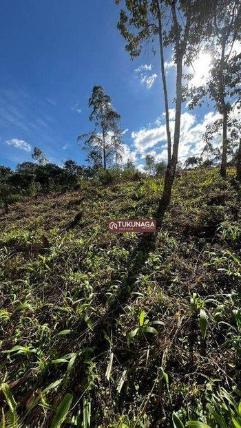 Foto 13 do(a) Terreno false à venda em Samambaia, Mairiporã