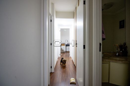 Foto 22 do(a) Apartamento de 3 quartos à venda em Indianópolis, São Paulo