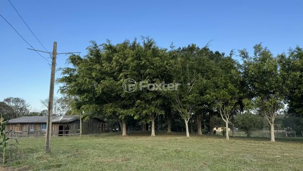 Foto 12 do(a) Fazenda / Sítio / Chácara false à venda em null, Torres