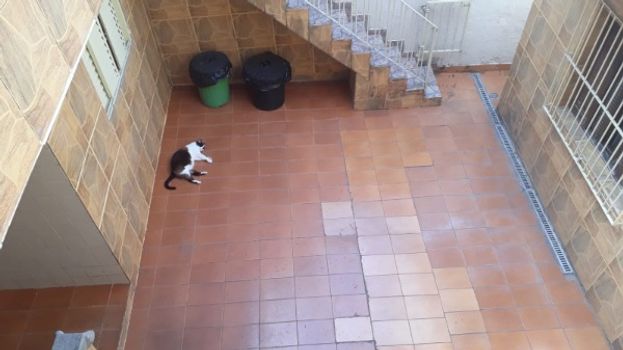 Foto 16 do(a) Casa de 2 quartos à venda em Vila Antonieta, São Paulo