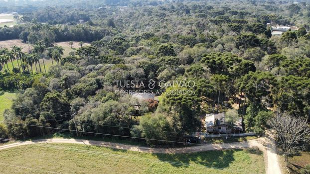 Foto 15 do(a) Fazenda / Sítio / Chácara de 3 quartos à venda em Borda do Campo, São José dos Pinhais