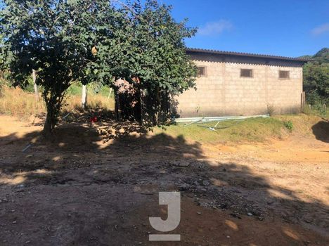 Foto 17 do(a) Fazenda / Sítio / Chácara de 3 quartos à venda em Área Rural de Amparo, Amparo