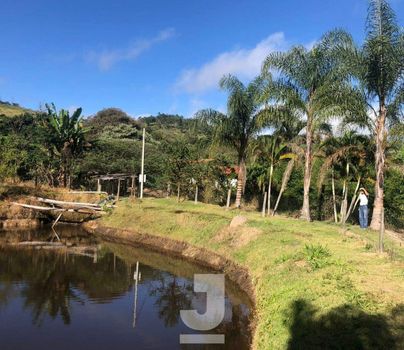 Foto 4 do(a) Fazenda / Sítio / Chácara de 3 quartos à venda em Área Rural de Amparo, Amparo