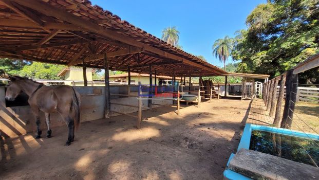 Foto 28 do(a) Fazenda / Sítio / Chácara de 9 quartos à venda em null, Mateus Leme