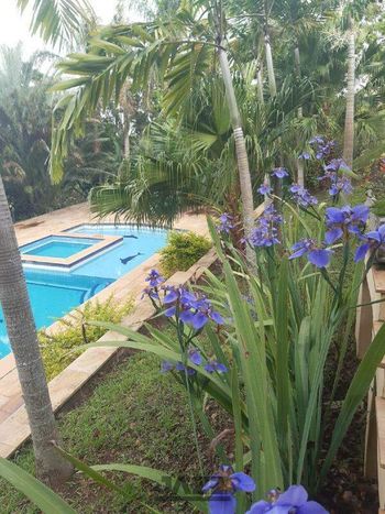 Foto 13 do(a) Casa em Condomínio de 5 quartos à venda em Sousas, Campinas