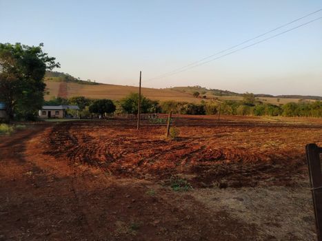 Foto 4 do(a) Fazenda / Sítio / Chácara false à venda em Limoeiro, Londrina