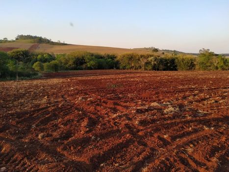 Foto 1 do(a) Fazenda / Sítio / Chácara false à venda em Limoeiro, Londrina