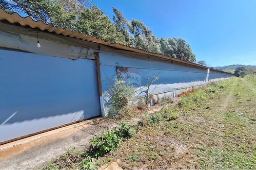 Foto 13 do(a) Fazenda / Sítio / Chácara de 3 quartos à venda em Jardim Itapema, Itapira