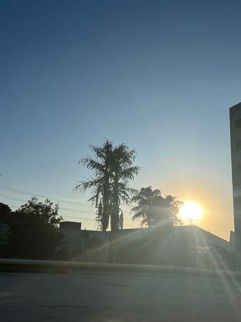 Foto 33 do(a) Apartamento de 2 quartos à venda em Parque Alves de Lima, São Paulo
